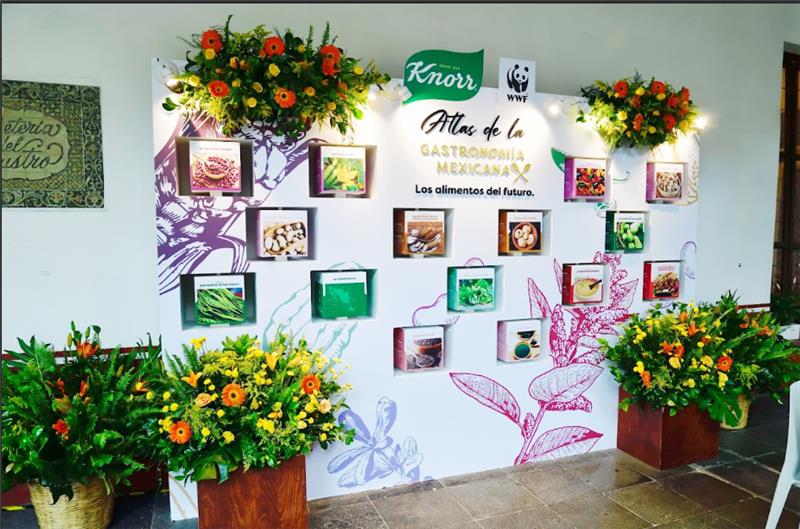 Presentación de Alianza Knorr y WWF