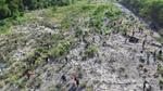 Visita a la zona del río y recogida de residuos para proteger el ecosistema.